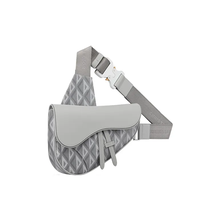 DIOR Saddle Sling Bags-1