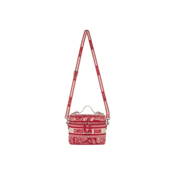DIOR Travel Makeup Bags