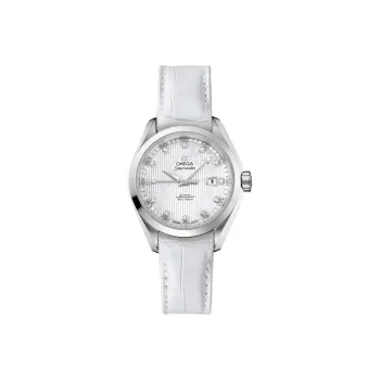 OMEGA Seamaster Aqua Terra 231.13.34.20.55.001