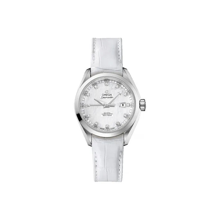 OMEGA Seamaster Aqua Terra 231.13.34.20.55.001-0
