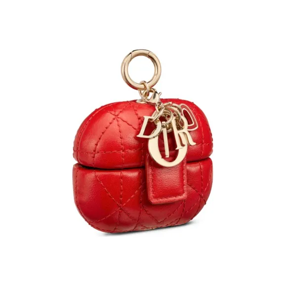 DIOR Earphone Cases-1