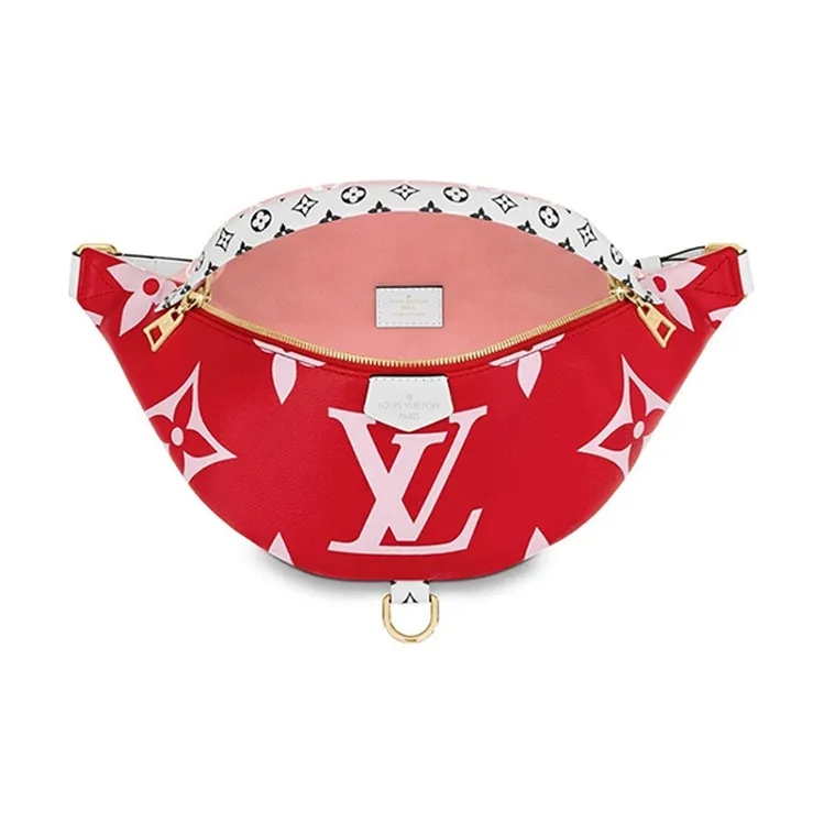 LOUIS VUITTON Bumbag Monogram Giant Red/Pink-2