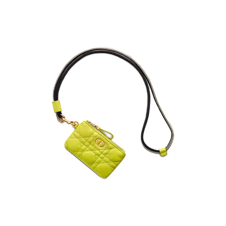 DIOR Caro Series Clutches-3
