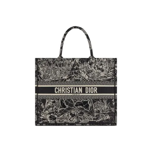 DIOR BookTote Handbags