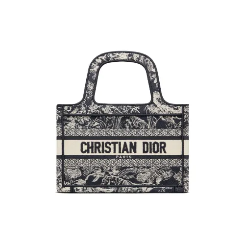 DIOR BookTote Handbags