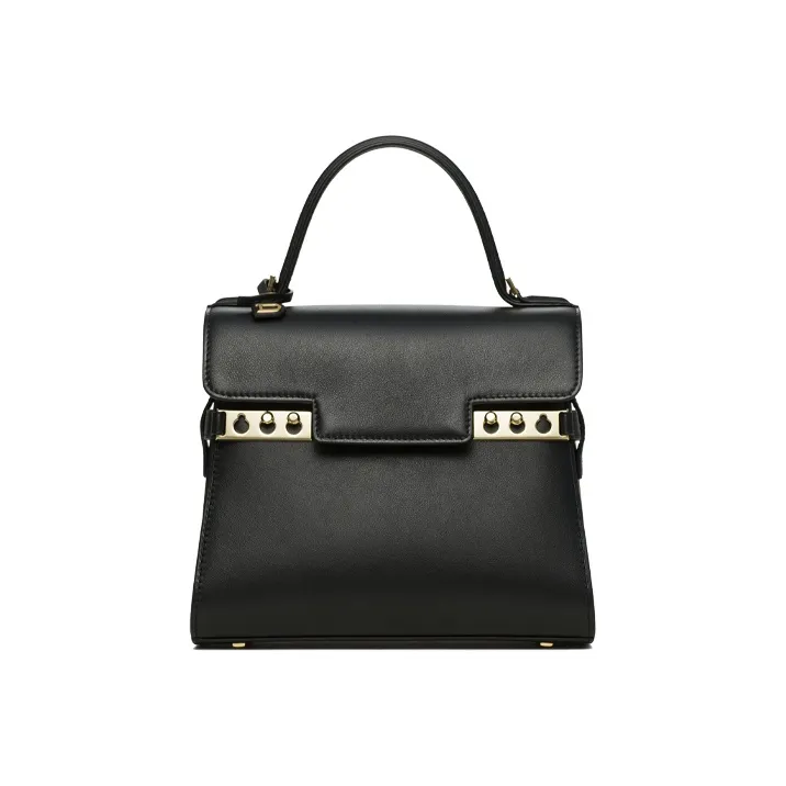 Delvau Tempête Soft Calfskin Handbag Small Size Women's Black-0