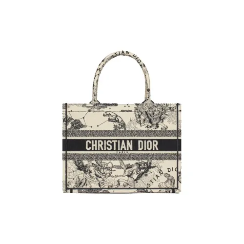 DIOR BookTote Handbags