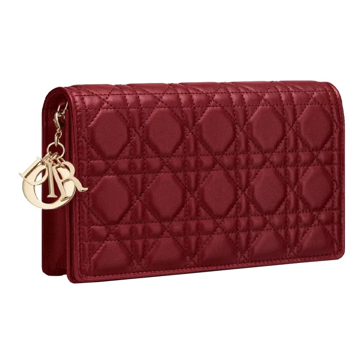DIOR Lady DIOR Clutches-1