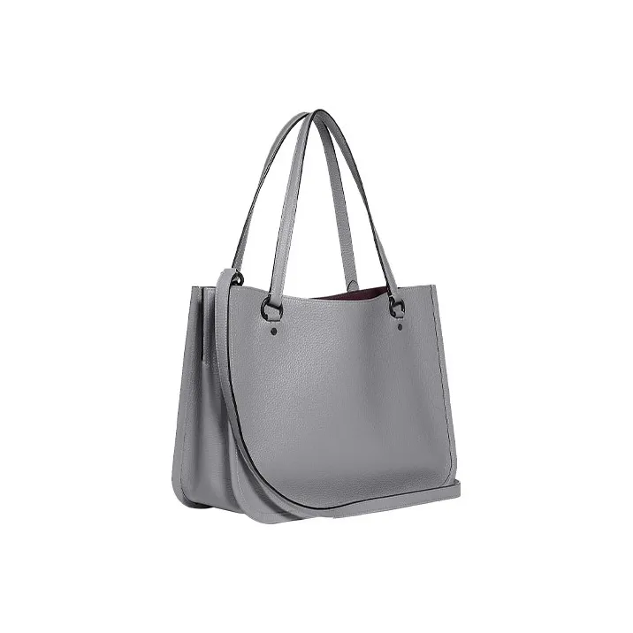 COACH Tyler Leather Handbag, Crossbody Bag, Shoulder Bag Women's Gray-1