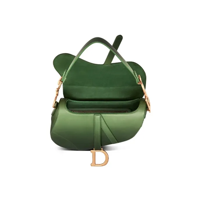 DIOR Saddle Cow Leather Saddle Bags Shoulder Bags Regular Women's Green-3
