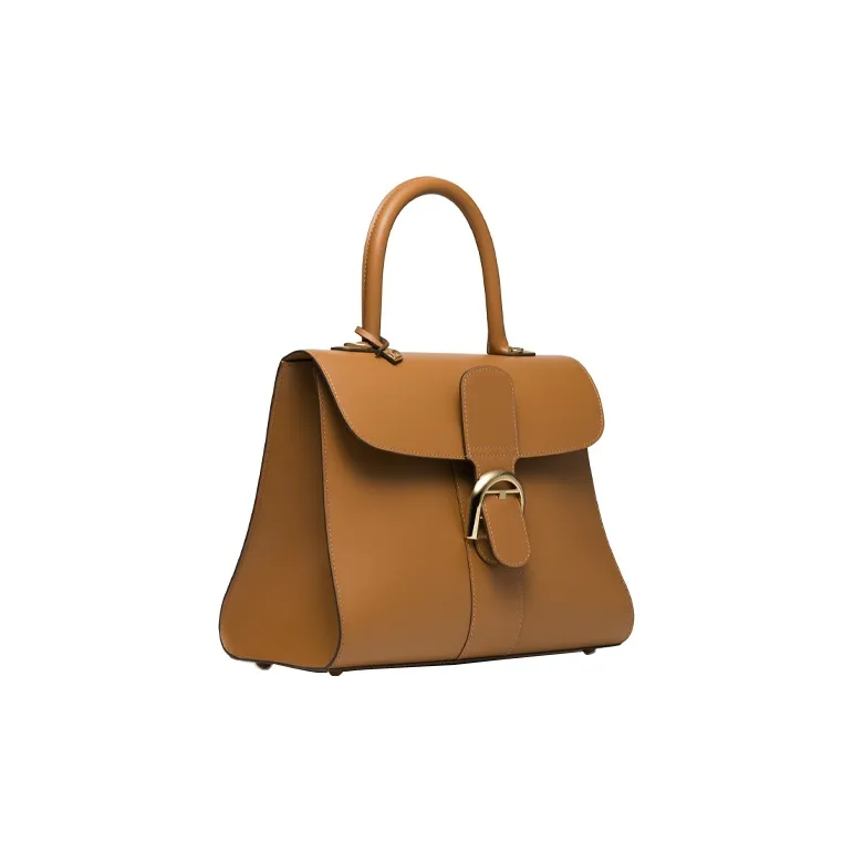 Delvau Brillant Cow Leather Handbag Medium Size Women's Brown-1
