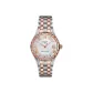 Silver Gray Watch Dial