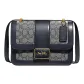 Bag+Dust Bag