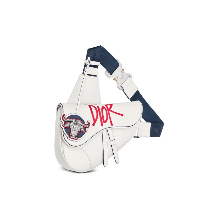 DIOR Saddle Grained Cow Leather Saddle Bag Shoulder Bag Crossbody Bag Men's White-1