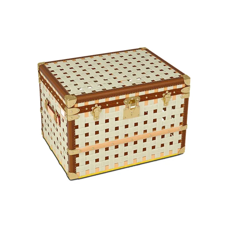 LOUIS VUITTON Straps Trunk-0