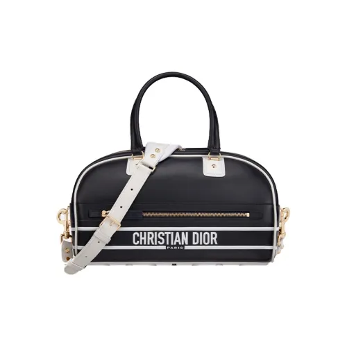 DIOR Vibe Collection Handbags