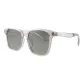 Gray | Polarized Gray-C02
