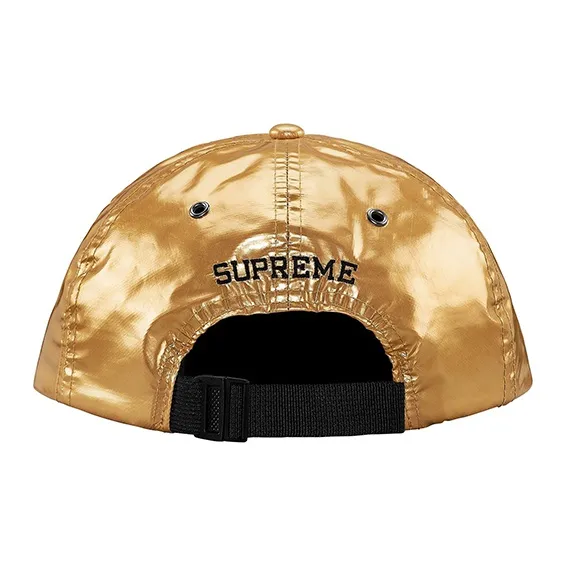 Supreme The North Face Metallic 6 Panel-1