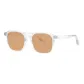 Nude Transparent+Cool Tea Brown-C01