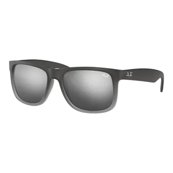 RayBan Justin Classic Sunglasses
