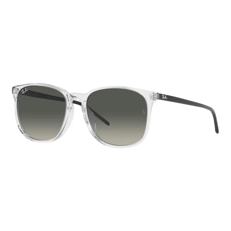 RayBan Sunglasses Unisex Gray-0
