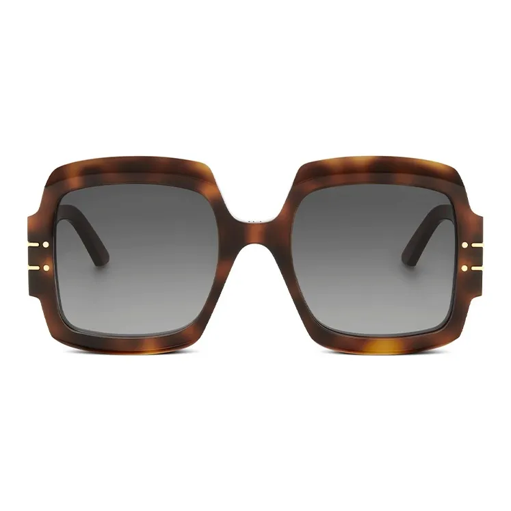 DIOR Sunglasses Unisex Light Umber-1