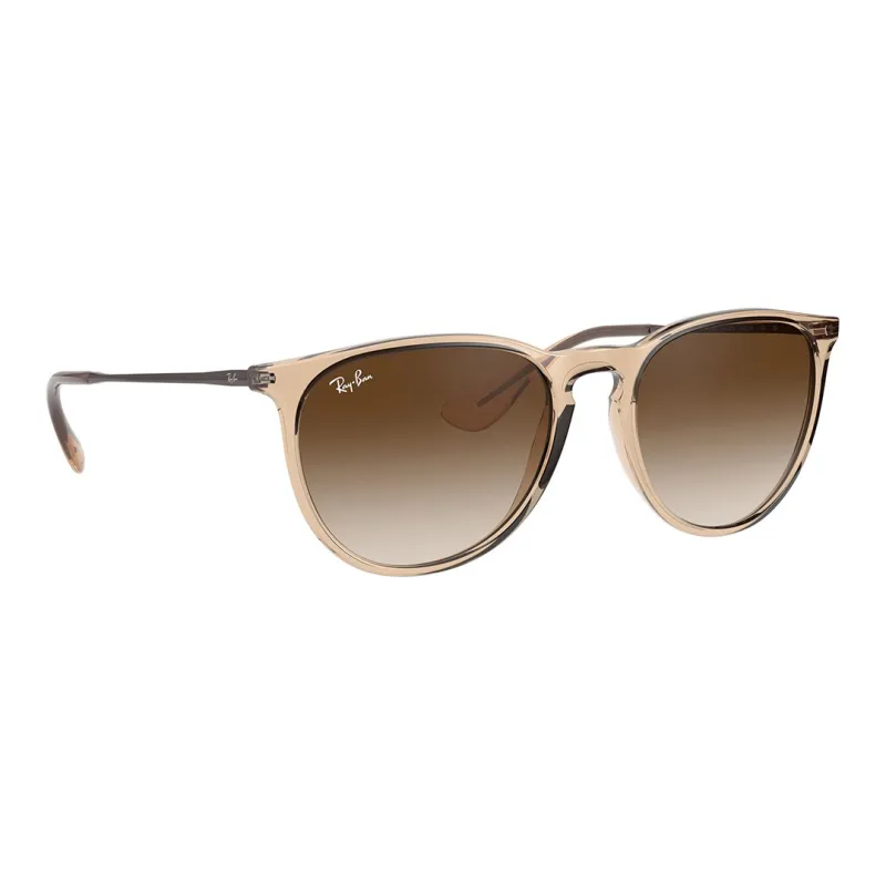 RayBan Erika Sunglasses-1