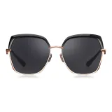 BL6052C13-Gray Progressive Polarized