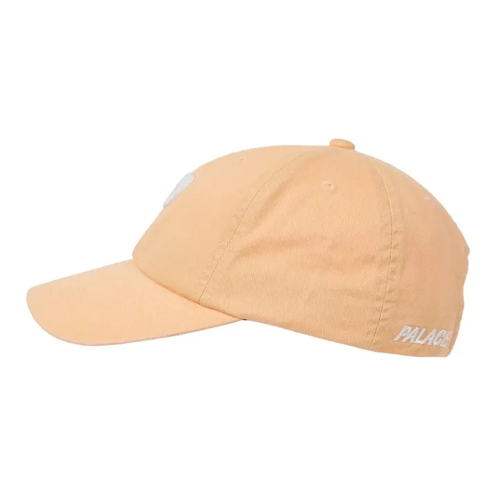 PALACE P 6 Panel SS25-2