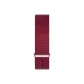 Roselyn S Silver Pin Buckle Included