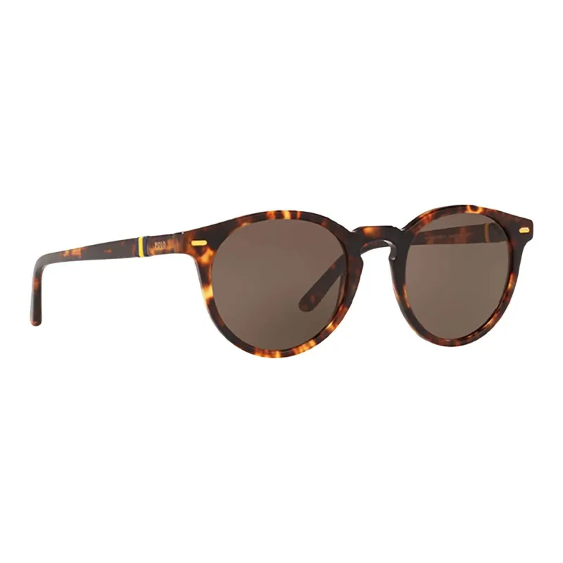 Polo Ralph Lauren Sunglasses Unisex Brown-1