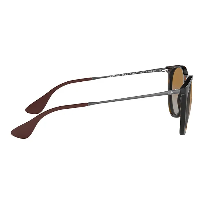 Ray Ban Erika Classic Polarised Sunglasses-2