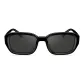 MS3021C10-Polarized Gray Full Color Lens