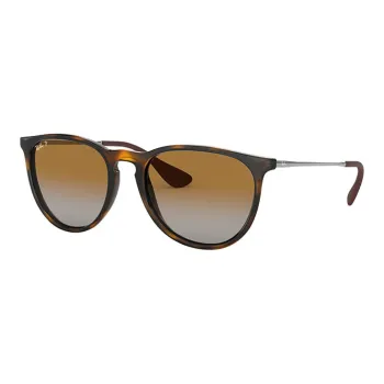 RayBan Erika Classic Polarised Sunglasses