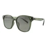 Transparent Light Green | Polarized Gradient Gray-C17