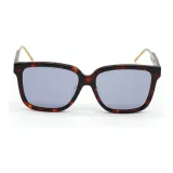 Tortoiseshell 002