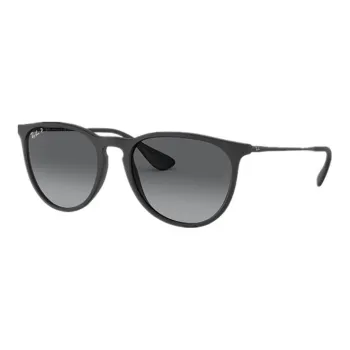 RayBan Erika Classic Sunglasses