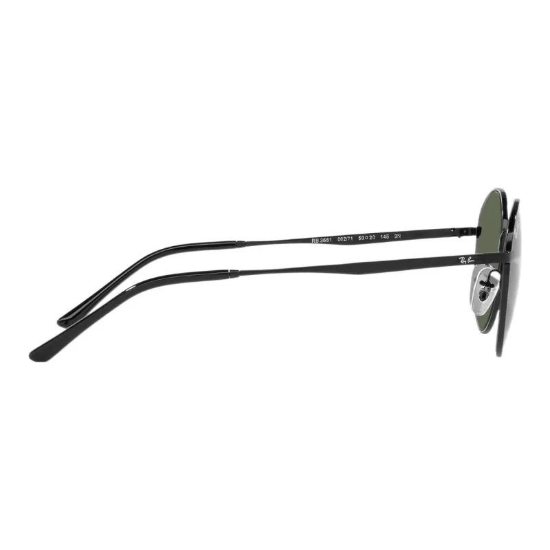 RayBan Round Frame Sunglasses-3