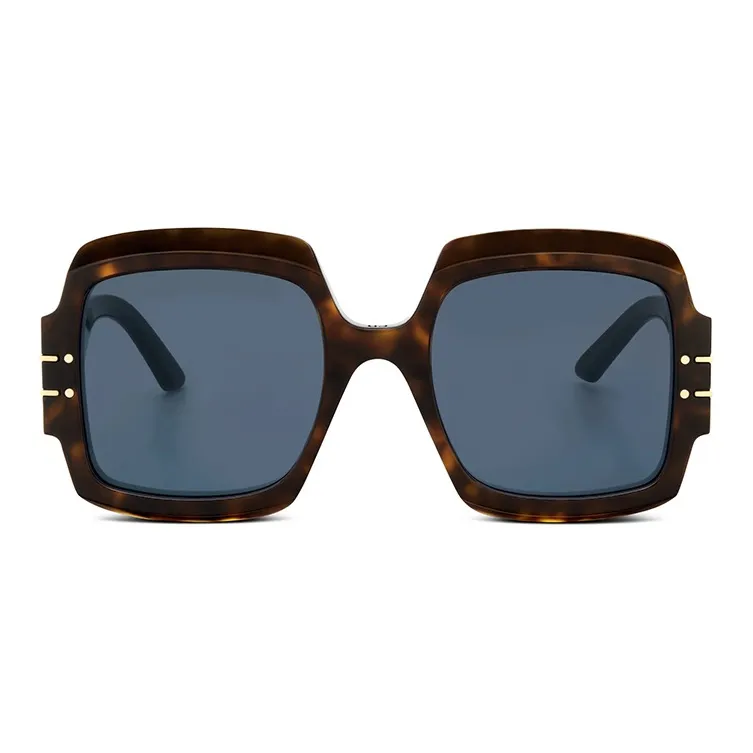 DIOR Injection Molding Square Sunglasses Unisex-1