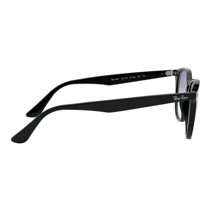 RayBan Round Frame Sunglasses-2