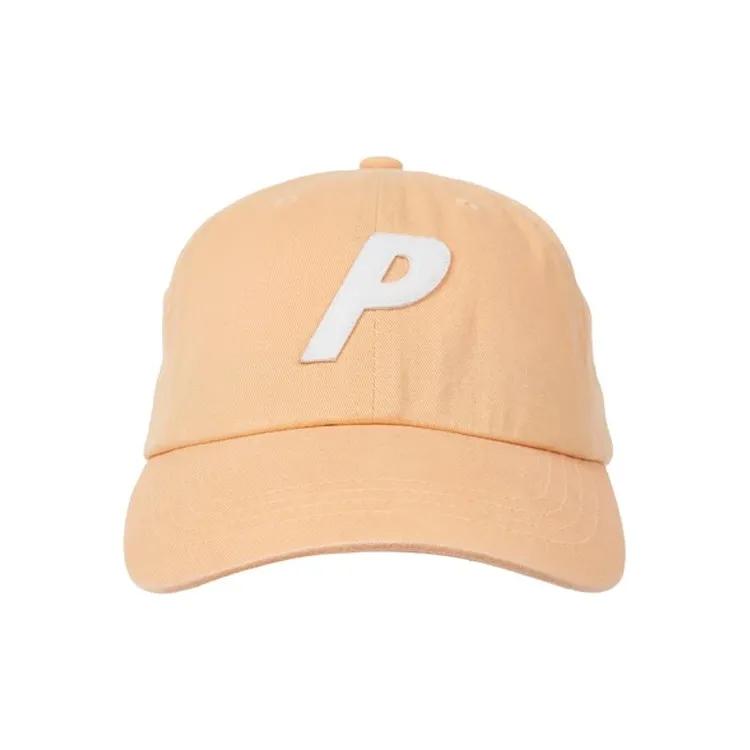 PALACE P 6 Panel SS25-1