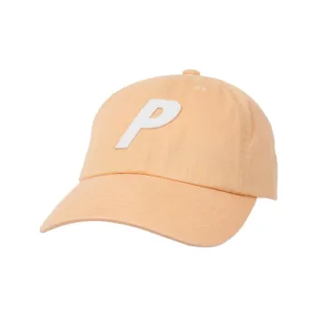 PALACE P 6 Panel FW21