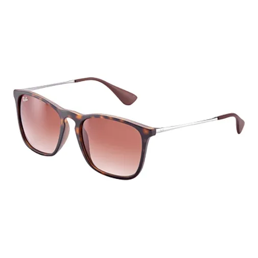 RayBan Sunglasses Unisex Tortoiseshell-1