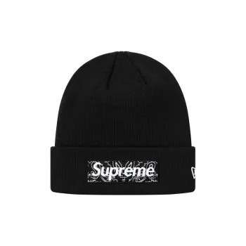 Supreme New Era Box Logo Beanie FW19