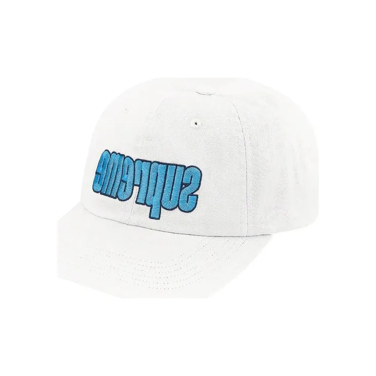 Supreme Reverse Logo 6 Panel-3