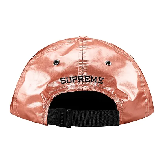 Supreme The North Face Metallic 6 Panel-3
