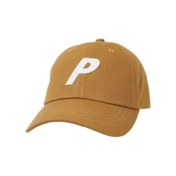 PALACE X Oakley 6-Panel - POIZON