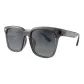 Gray | Polarized Gradient Gray-C02