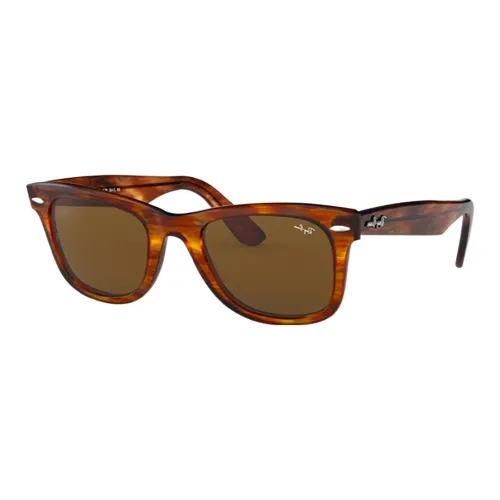 RayBan Sunglasses Women's Brown