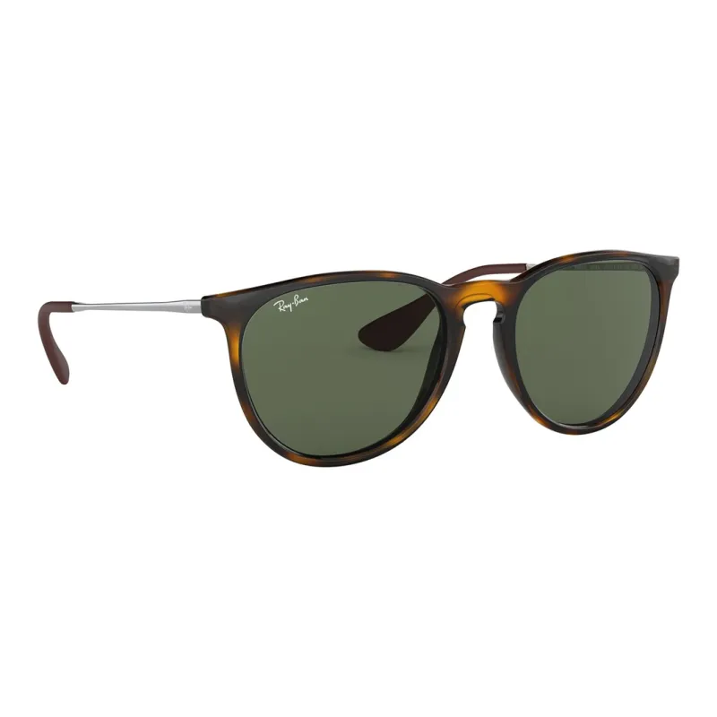 RayBan Erika Classic Sunglasses-1